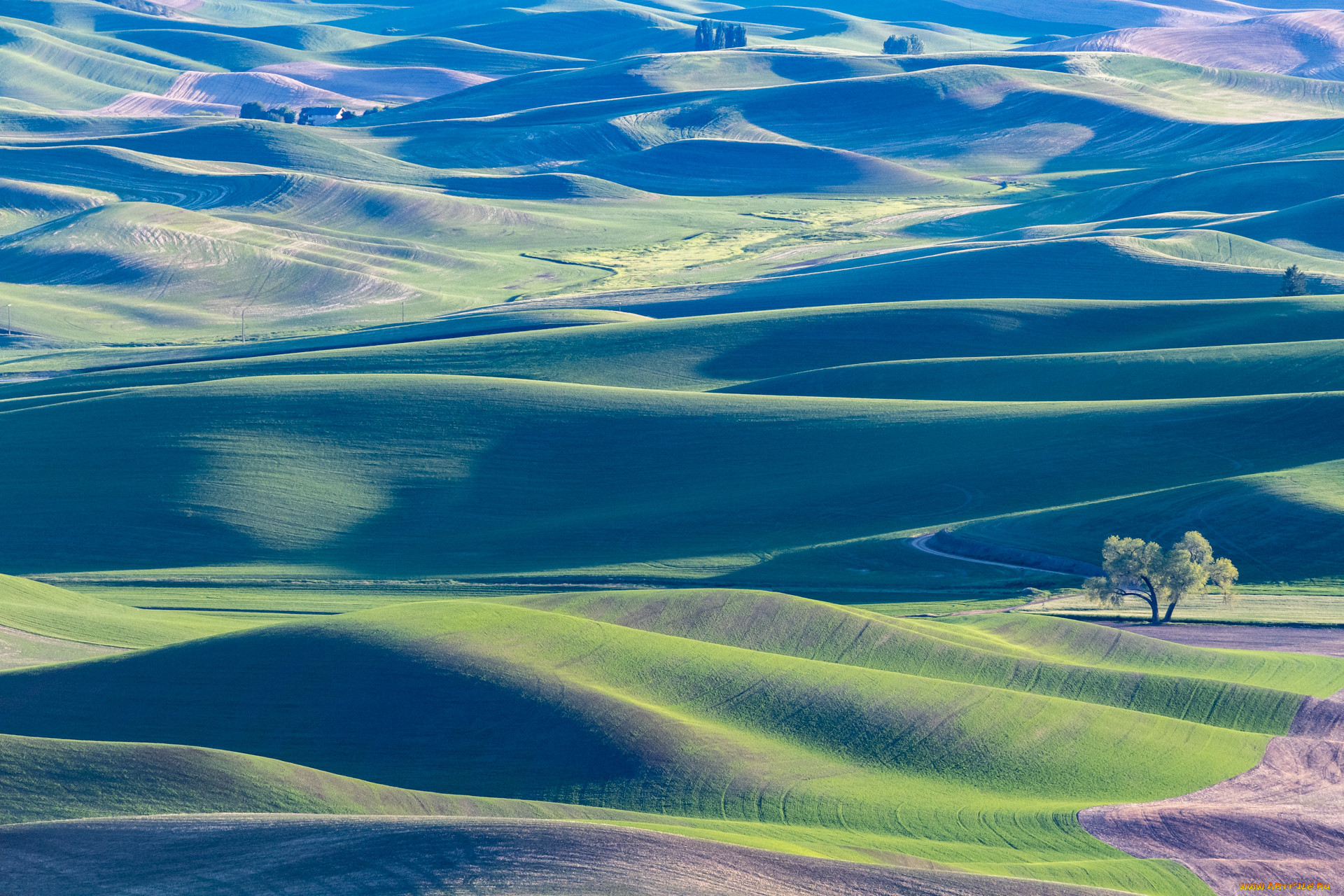 �������, �������, ������